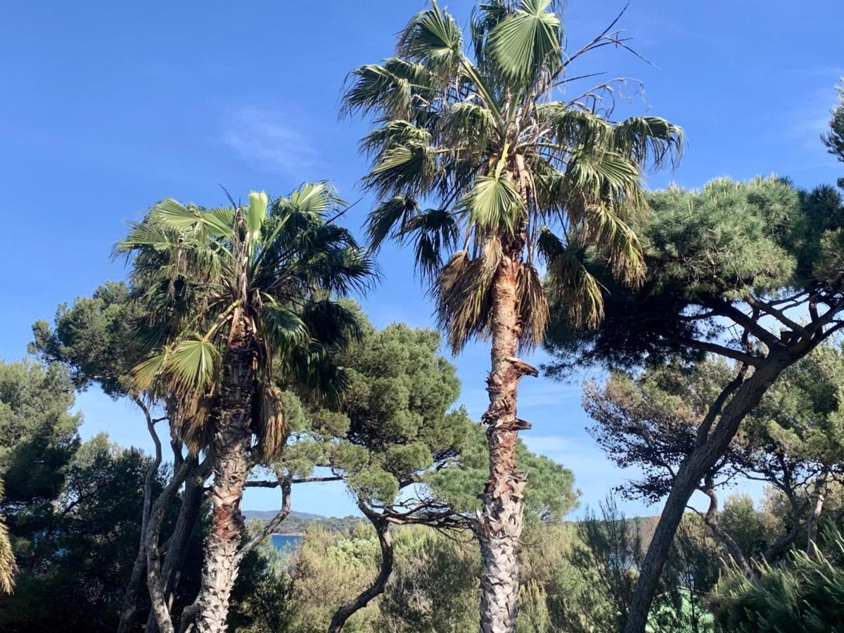 Bergerie Plage Renove Clim Balneo Plage Piscine Jardin Mediterraneen イエール エクステリア 写真